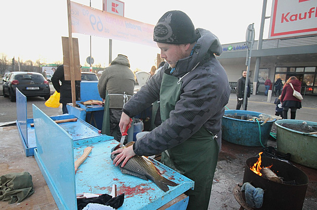 Boj o kapra z kádě. Prodej živých ryb dělí společnost i obchodníky