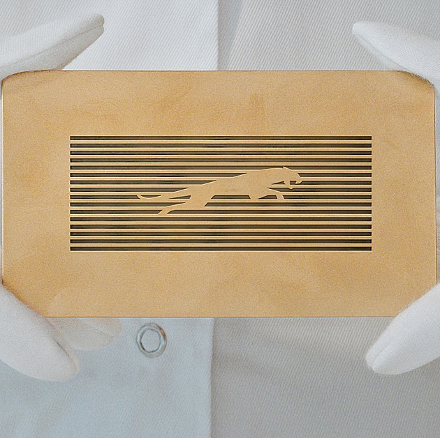 Kulturní vandalismus. Designéři kritizují zmrzačené logo Jaguaru i jeho woke video